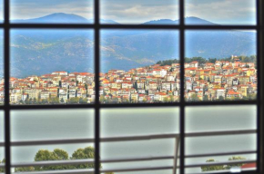 tania's view